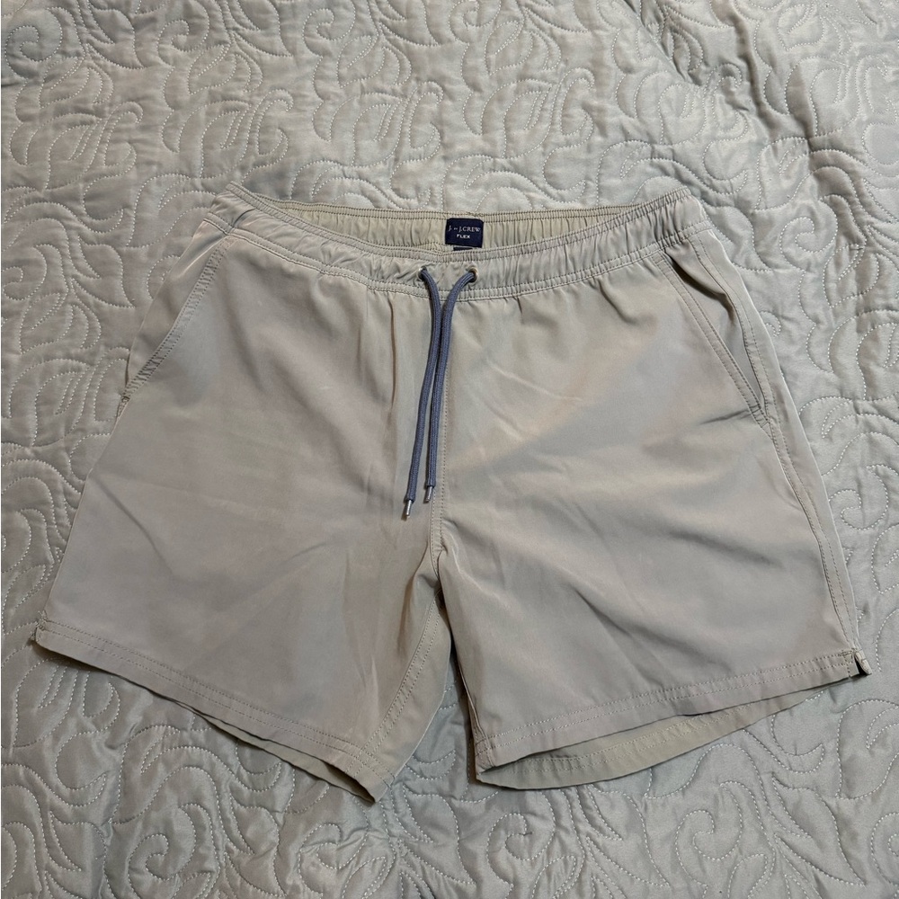 J. Crew Factory Swim Trunks with Blue Accents, Medium